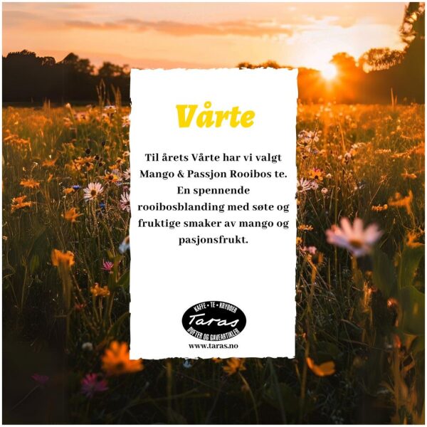 Taras Vårte 2025 - Mango & Passion Rooibos - Bilde 2