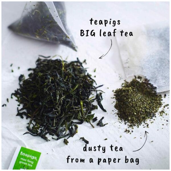 teapigs. Mao Feng Green Tea organic 15 temples - Bilde 3