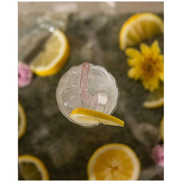 Sweetbird Lemonade Sirup 1L - Bilde 2