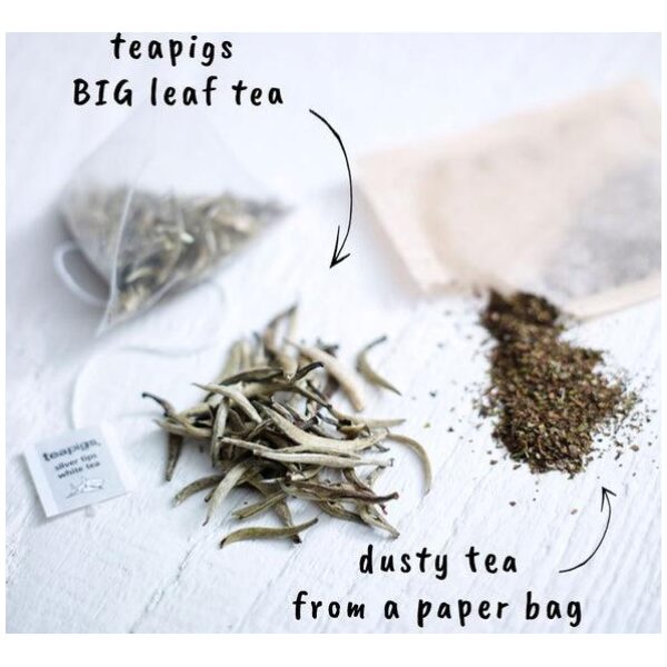 teapigs. Silver Tips White Tea 15 temples - Bilde 3
