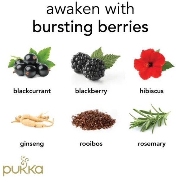 Pukka Morning Berry organic - Bilde 3
