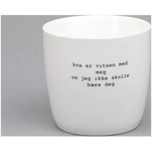 Sögne krus TS Hva er vitsen