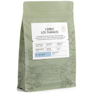 Cerro Los Tamales