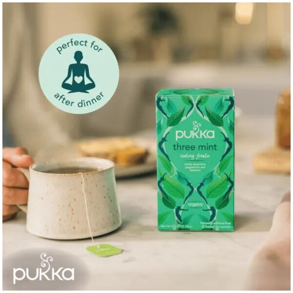 Pukka Three Mint organic - Bilde 3