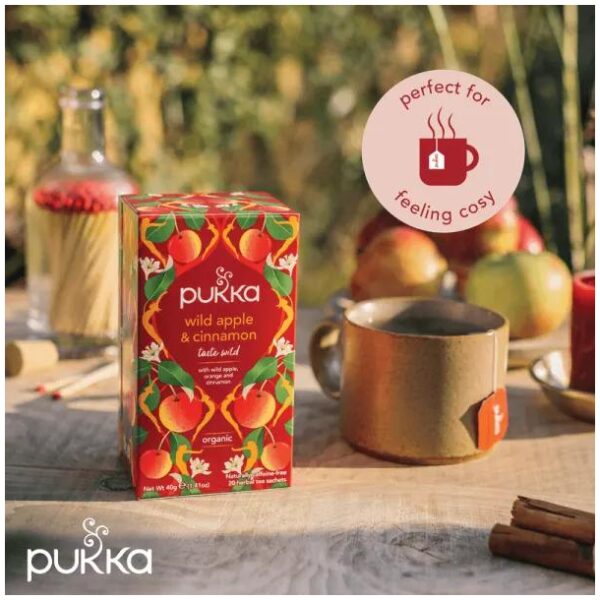 Pukka Wild Apple & Cinnamon organic - Bilde 3