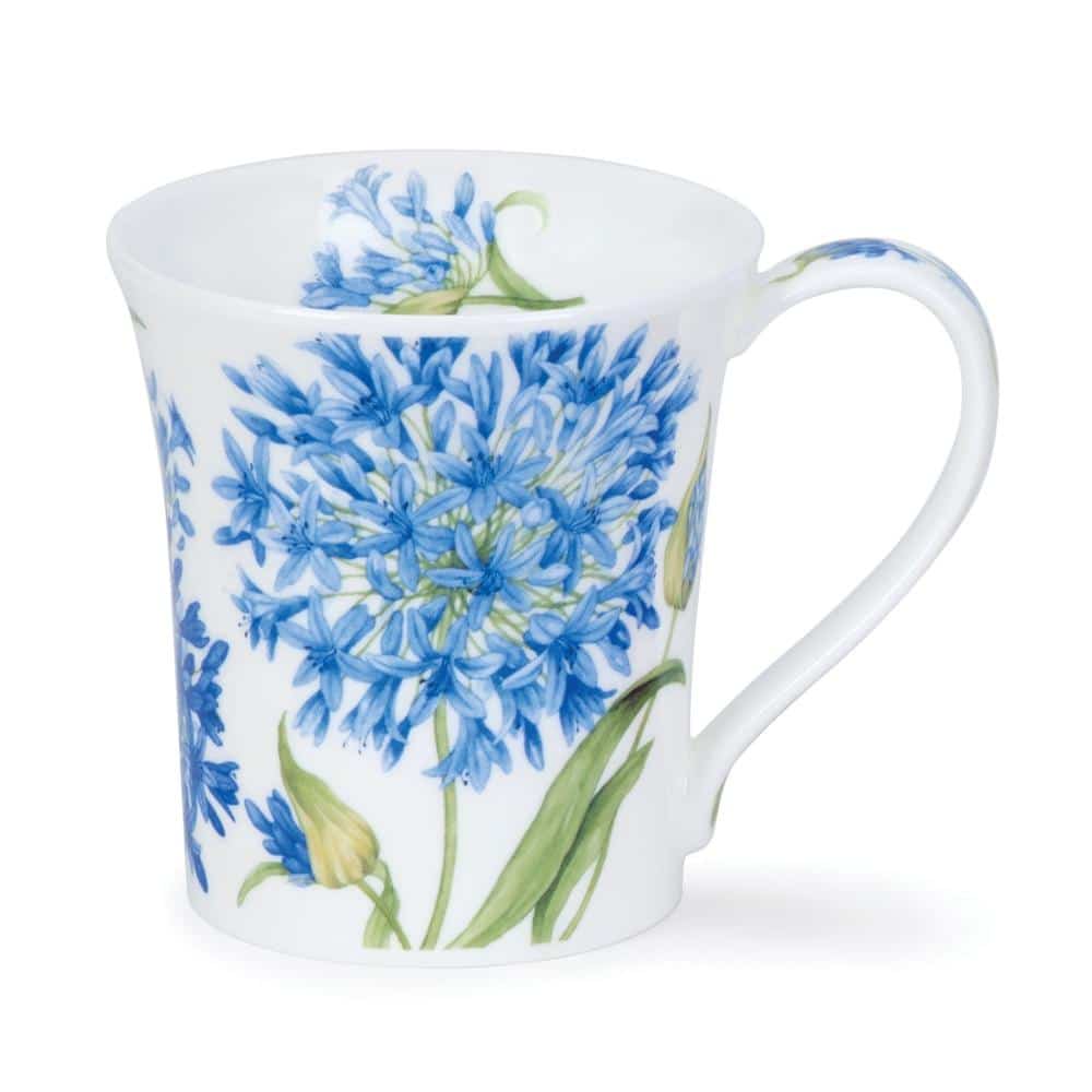 Dunoon krus Agapanthus Jura