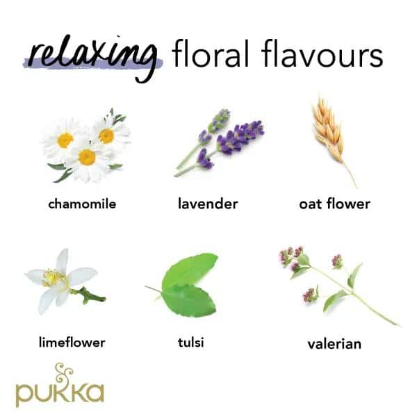 Pukka Night Time organic - Bilde 2