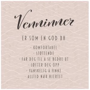 Servietter Lunsj "Venninner er som en god BH.."